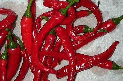 What Is Cayenne