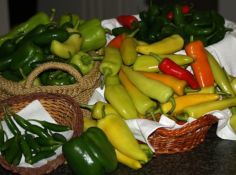 Canning Peppers