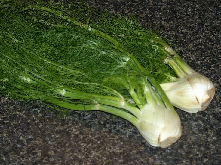 How to Cook Fennel Recipes