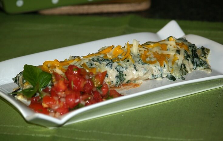 Green Chicken Enchiladas Recipe