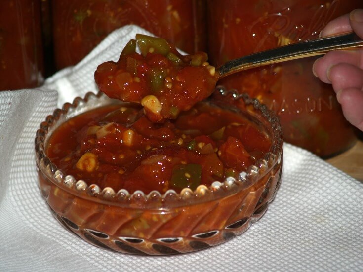 Serving of Salsa Recipe